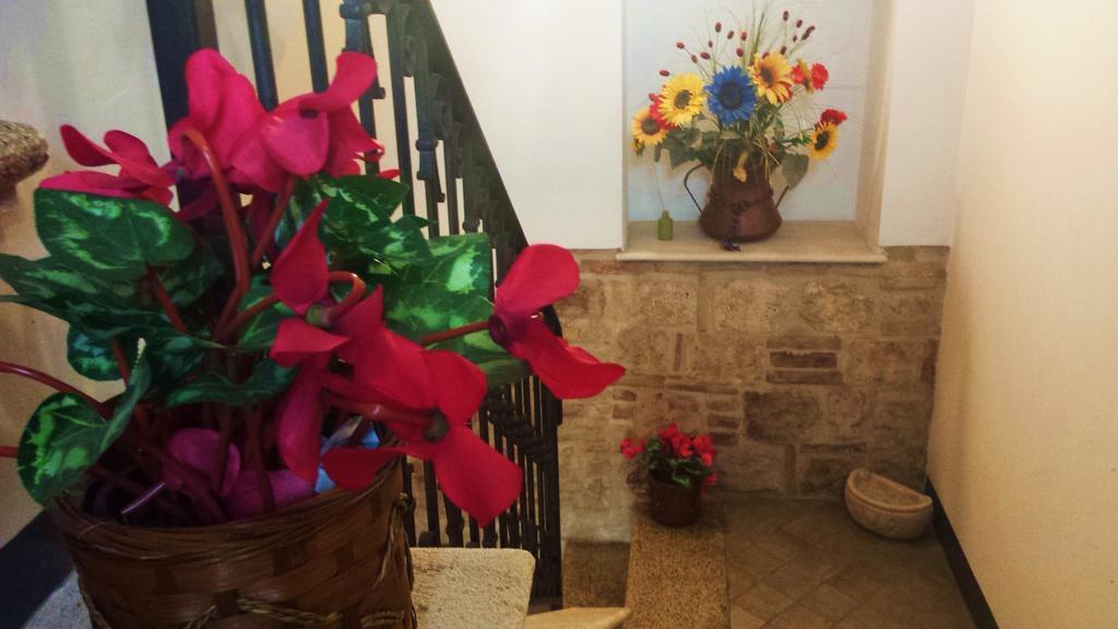 Il Ciclamino Bed And Breakfast Ascoli Piceno Bagian luar foto